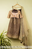 BROWN EMBROIDERED LEHENGA WITH PEACH BLOUSE AND PEACH DUPATTA